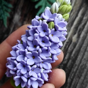 Silicone lilac flower mold,syringa mold, flower molds, mold flour