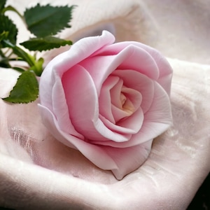 Zeepmal, siliconen zeep mallen 3d bloemen roos, roos siliconen mal