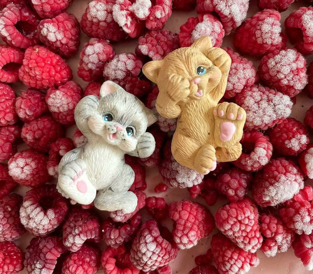 Cat Mold Cat Mold Silicon Mold 3d Mold Animal Mold Resin Mold Christmas Mold 3d Silicon Mold