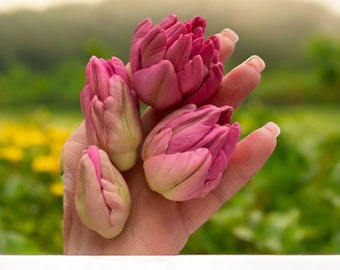 3D Tulip Silicone Mold: Handmade Soap & Candle Making