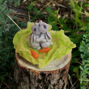 Bunny mold rabbit mold rabbit lover mold silicon mold