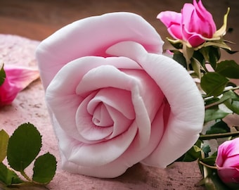 May include: A single pink rose with a light pink center, surrounded by green leaves and two smaller pink rose buds.