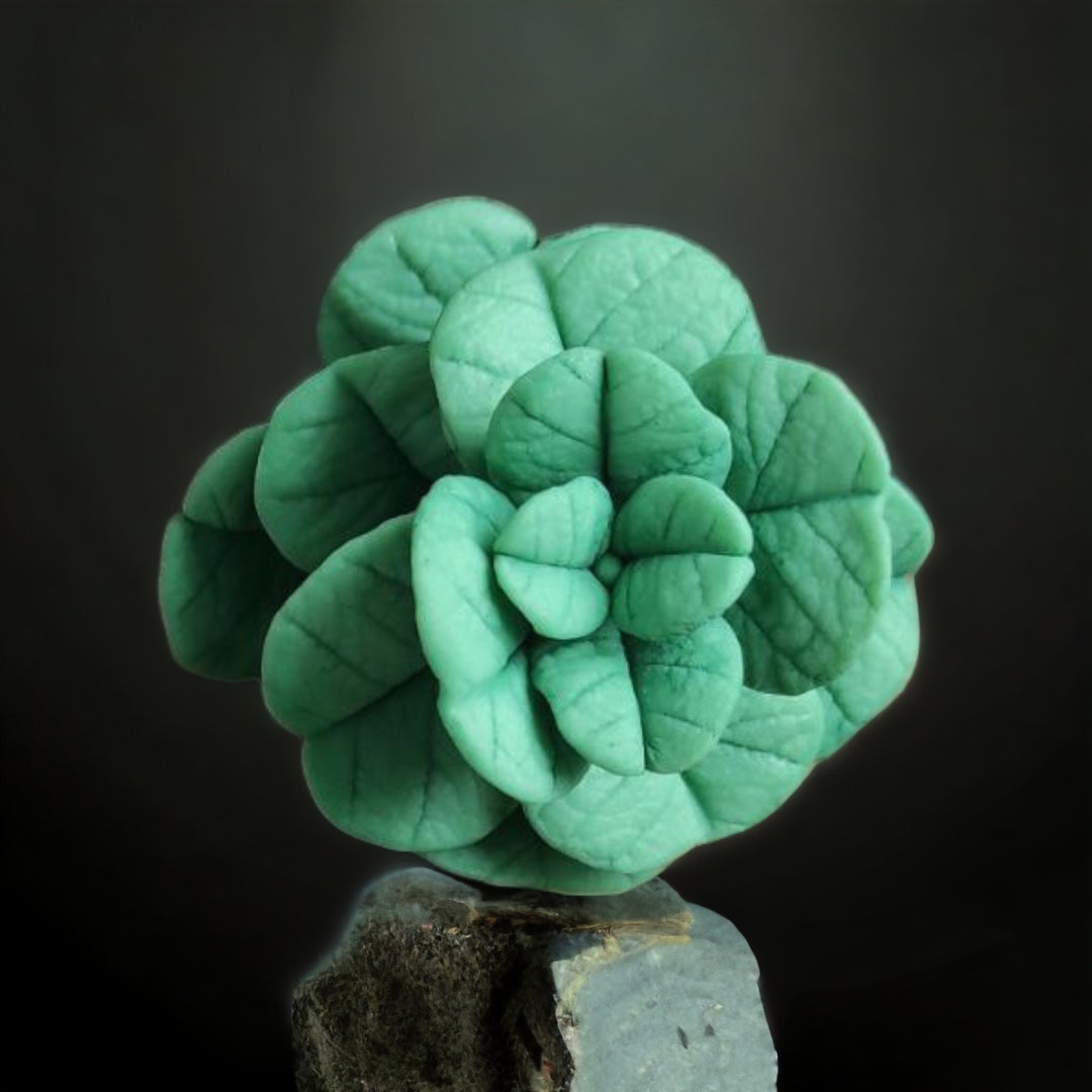 3D Silicone Mold Eucalyptus Silicone Mold for Soap Etsy