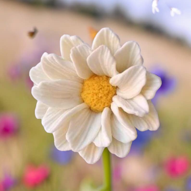 May include: A single white daisy with a yellow center, in focus, against a blurred background of other flowers.