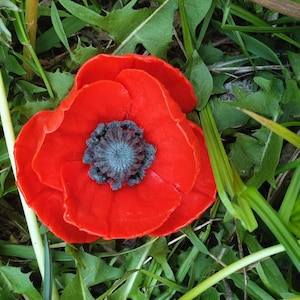 Mohnform Silikonform Blume, Silikonform Blume, Seifenform, 3D Blume Silikonform Seifenform Silikonform Silikonform Blumenform