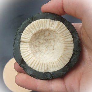 Peut inclure: Un biscuit noir et blanc avec un bord profond et festonné. Le biscuit est tenu dans une main.