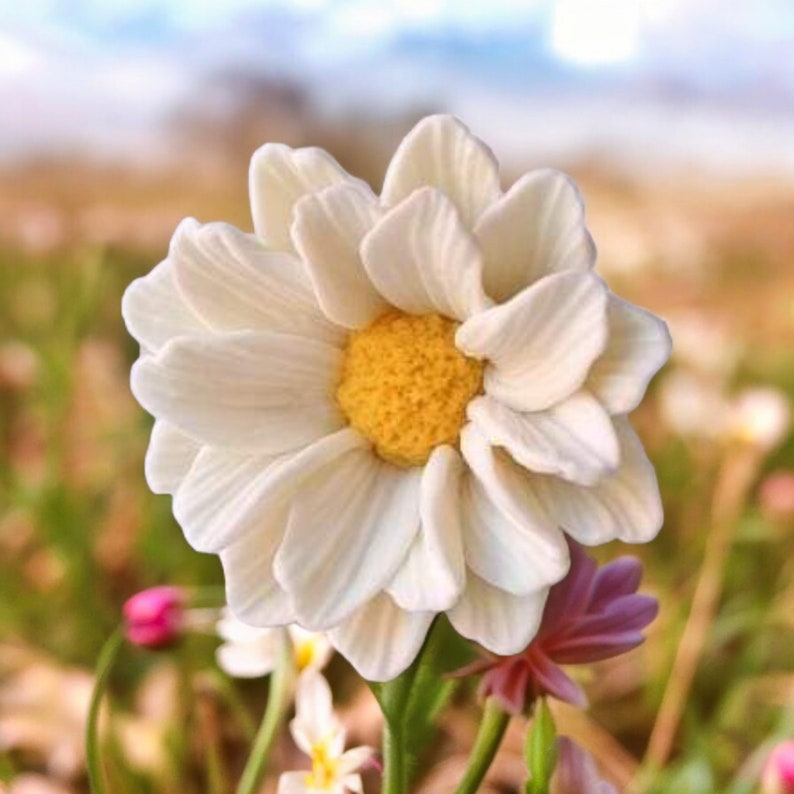 May include: A single white daisy with a yellow center, in focus, surrounded by other flowers in a field.