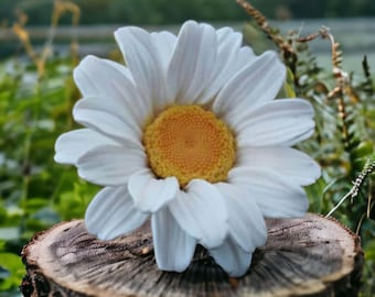 Daisy Silicone Soap Mold – Flower Soap Mold for Handmade Soap, Floral Silicone Mold for Crafts, Not for Food Use