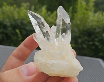 コロンビア、サンタンデール県ラ・ベジェサ鉱山産の天然コロンビア産