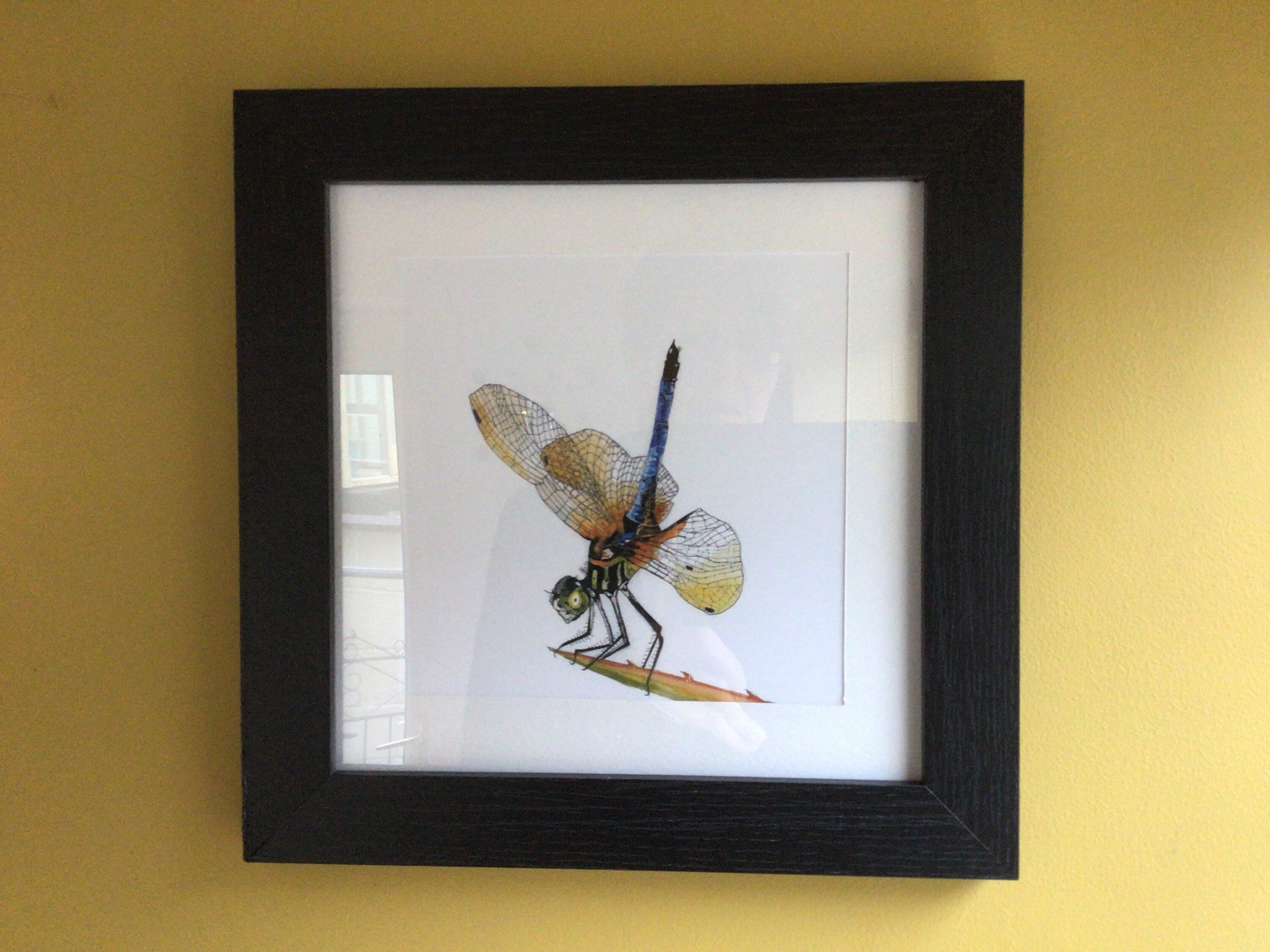 Insect art card pack, Set of 3 bug cards, Insect card bundle, Insect ...