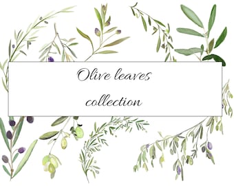 Olive Leaves  Watercolor Graphic Elements, Olive Branch Clipart, Olive Leaf Clipart, Watercolor Olive Wreath, Watercolor Olive Bouquet