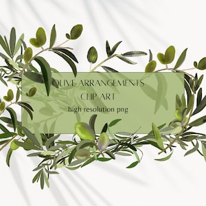 Olive Branch Watercolor Clipart,, Olive leaves Clipart,Deep green  Leaf Watercolor Olive Wreath, Olive pattern clip art.