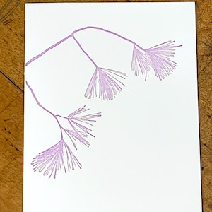 May include: A purple line drawing of a branch with three sets of feathery leaves on a white background.