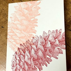 pine cone - letterpress printed blank greeting card- FREE SHIPPING on orders over 35 dollars