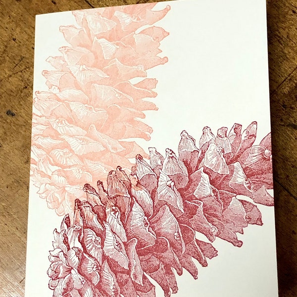 pine cone - letterpress printed blank greeting card- FREE SHIPPING on orders over 35 dollars