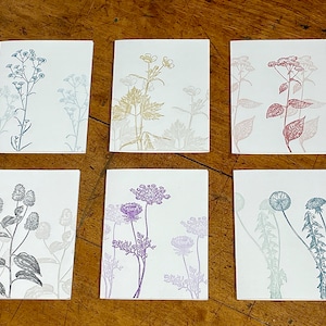 6 Vintage Wildflowers - letterpress printed blank greeting cards- FREE SHIPPING on orders over 35 dollars