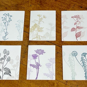 6 Vintage Wildflowers - letterpress printed blank greeting cards- FREE SHIPPING on orders over 35 dollars