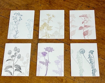 6 Vintage Wildflowers - letterpress printed blank greeting cards- FREE SHIPPING on orders over 35 dollars