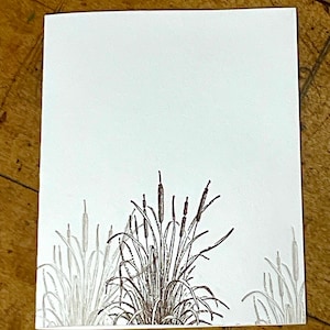 May include: A white card features a detailed illustration of cattails and reeds in shades of brown and gray. The artwork is centered, with the plants at the bottom and a blank white space above. The style is reminiscent of a botanical drawing.