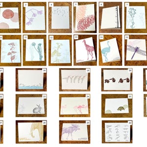 Any 5 LETTERPRESS PRINTED blank greeting cards variety pack - free shipping on orders over 35 dollars