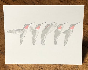 Hummingbird - letterpress printed blank greeting card- FREE SHIPPING on orders over 35 dollars