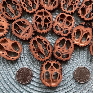 30 Black Walnut Slices - 1/4" thick - Exclusive for basket weaving.