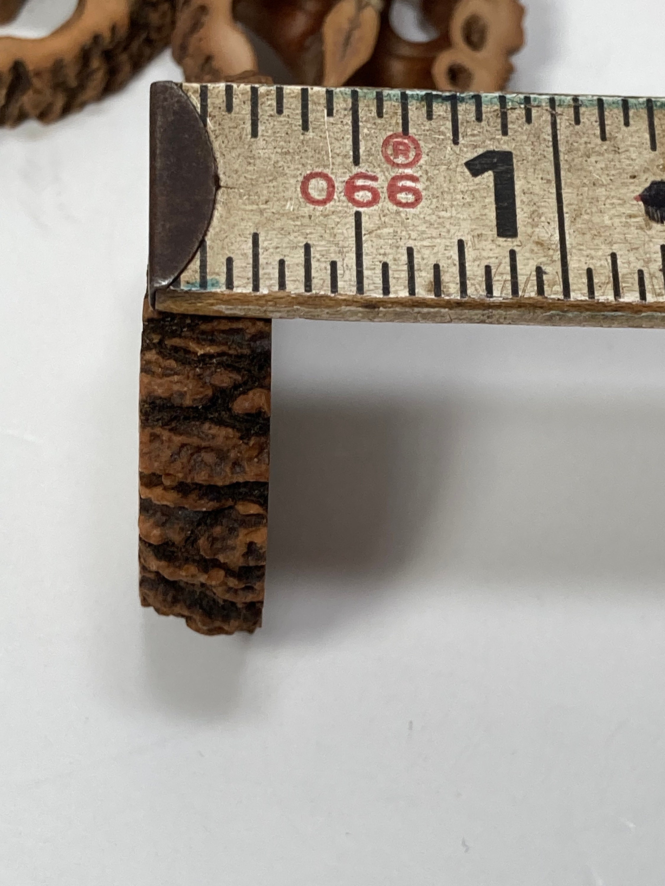 30 Black Walnut Slices - 1/4