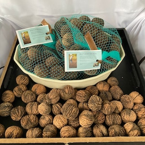 ORGANIC BLACK WALNUTS - No pesticides used on trees, or when harvested.
