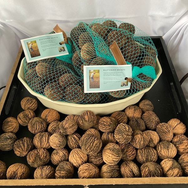 ORGANIC BLACK WALNUTS - No pesticides used on trees, or when harvested.