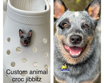 Custom animal croc jibbitz