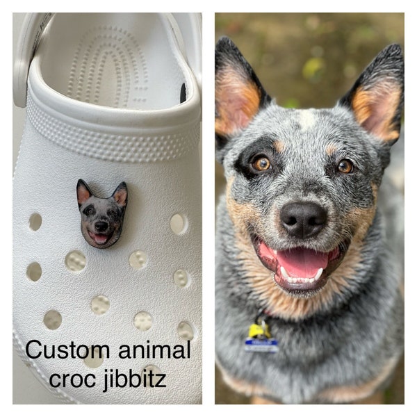 Jibbitz de cocodrilo animal personalizado