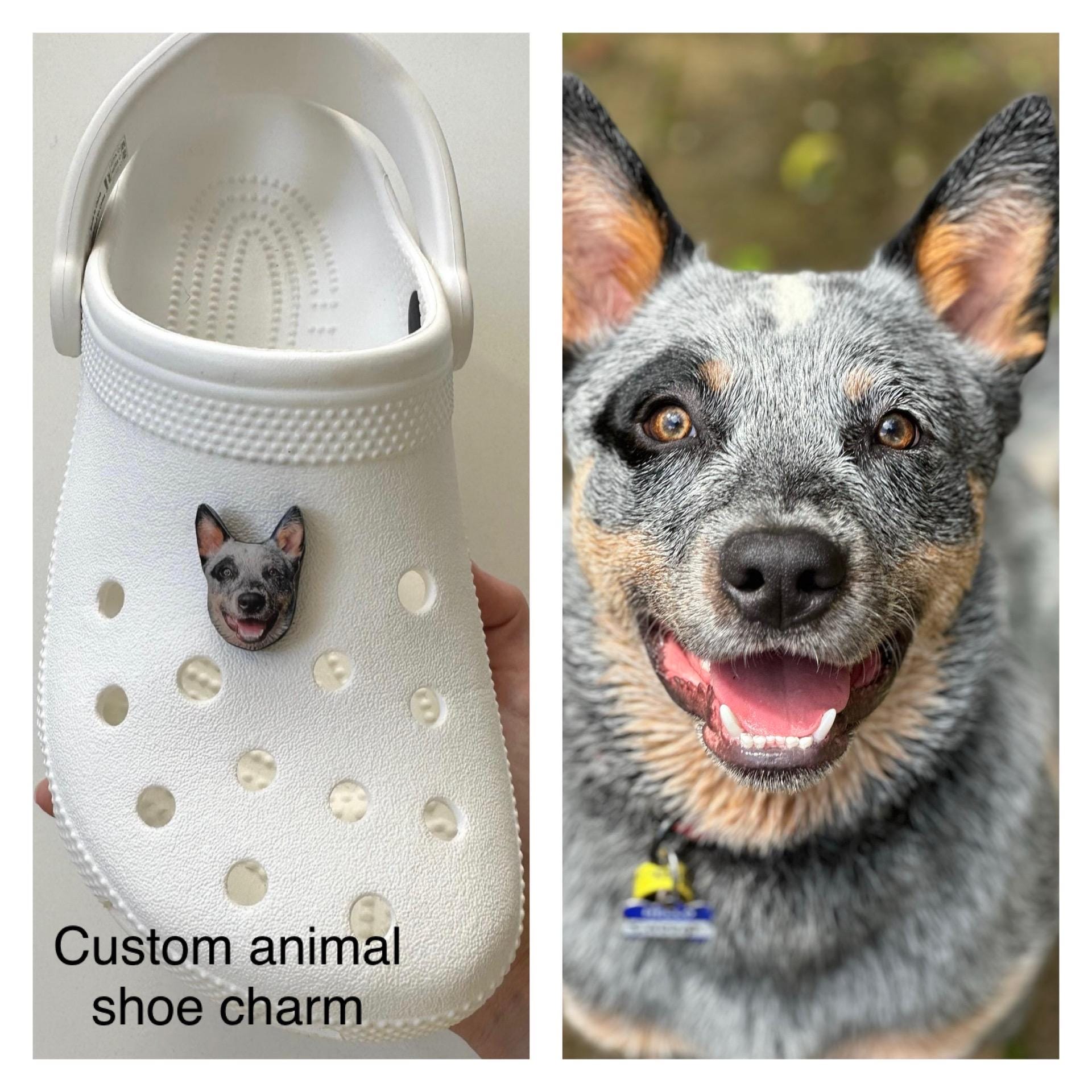 Dog crocs shoes - Etsy 日本