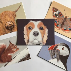 May include: Five illustrated postcards featuring a variety of animals. The postcards are printed on white cardstock and feature a brown and white highland cow, a brown and white butterfly, a brown and white dog, a brown squirrel, and a black and white puffin.