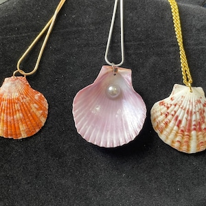 May include: Three necklaces with seashell pendants. The shells are different colours and patterns. One is orange, one is pink and white, and one is red and white.