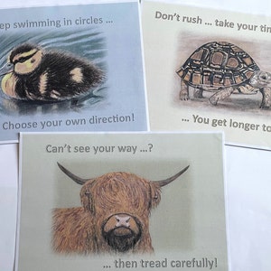 May include: Three illustrated cards with inspirational messages. The first card features a duckling swimming in a pond with the text "Don't keep swimming in circles... Choose your own direction!" The second card features a tortoise walking with the text "Don't rush... take your time... You get longer to dream!" The third card features a Highland cow with the text "Can't see your way...? ...then tread carefully!"