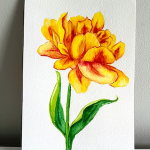 Dipinto ad acquerello botanico Double Tulip - Arte originale - Non una stampa - Belle arti direttamente dall'artista