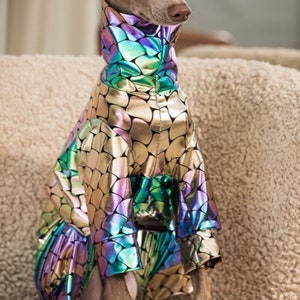 Neon Pink Anaconda Glitzy Only Available as 4 Legs or a Sleeveless Crop