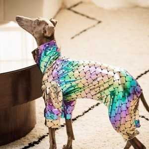 Neon Pink Anaconda Glitzy Only Available as 4 Legs or a Sleeveless Crop