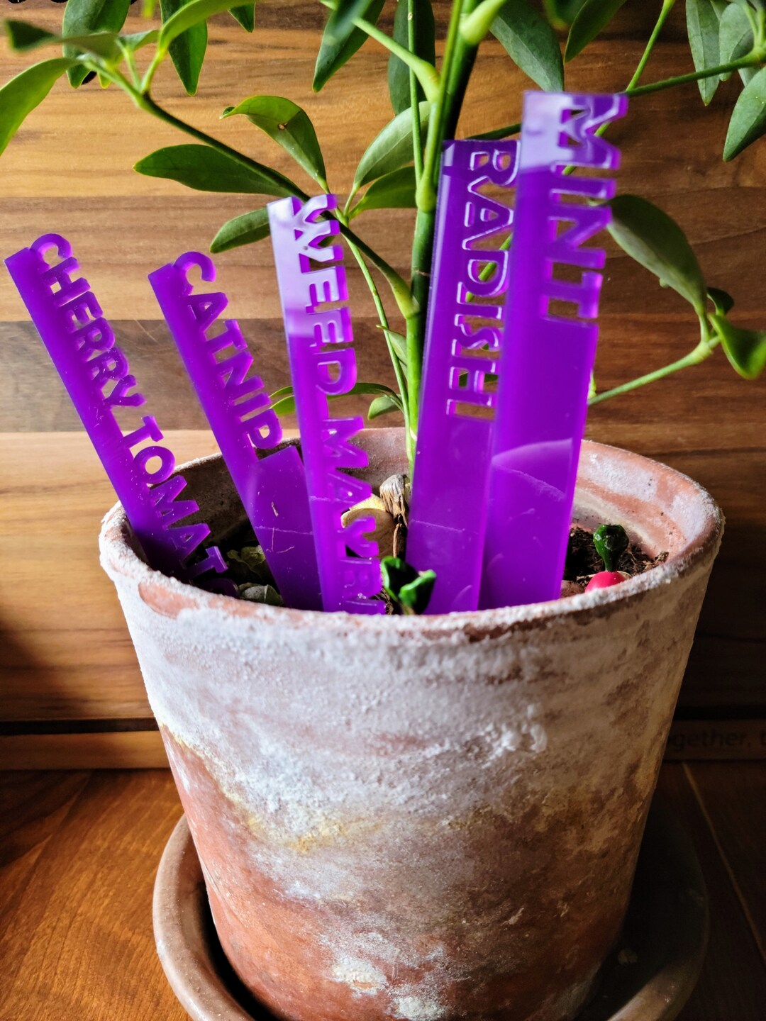 Acrylic Garden Stick Labels Etsy