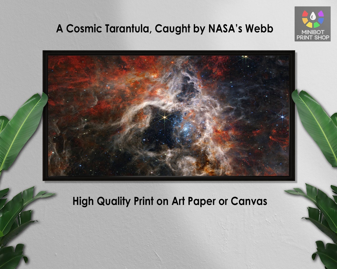 Tarantula Nebula Print: James Webb Space Telescope Photo - Etsy