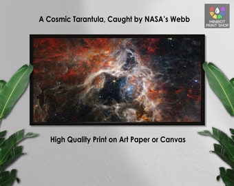Tarantula Nebula James Webb NASA Space Telescope Highly Detailed Space ...