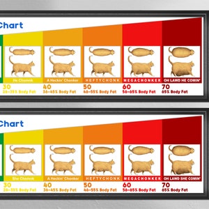 The Chonk Chart - Gewichtszunahme Poster (männlich und weiblich)