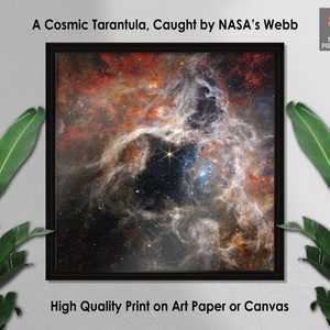 James Webb Space Telescope, A Cosmic Tarantula, Caught by NASA’s Webb, Wall Decor, Wall Art, Home Decor, Cool Space Poster, Space Art Photo