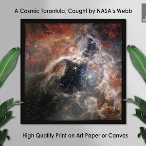 James Webb Space Telescope, A Cosmic Tarantula, Caught by NASA’s Webb, Wall Decor, Wall Art, Home Decor, Cool Space Poster, Space Art Photo