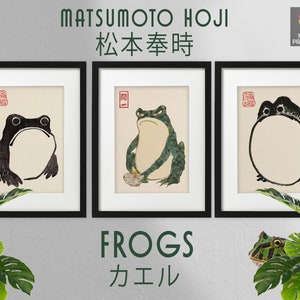 Set of 3 Frog Prints, Matsumoto Hoji, Japanese Woodblock Art, Wall Decor, Animal Print, Sad Angry Frogs, Quality Posters, Cool Gifts, Cute
