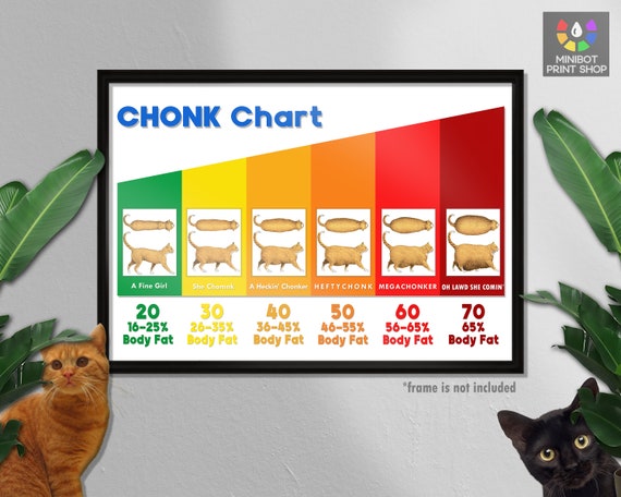 Cat The Vet - The Best Weight Chart EVER! “Oh Lawd He Comin!”  🤣🤣🐱🐱🙊🙊🤣🤣 **The original is from Hill's Pet Nutrition But I would  love to credit the creator of this remix!