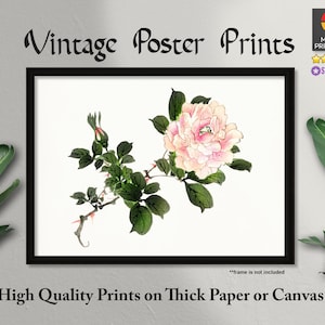 Pink Rose, Pink Peony, Flower Art, Japanese Wall Decor,Vintage Posters,Wall Decor,Wall Art,Home Decor,Japanese Art,Plant Art