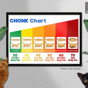 The Chonk Chart ( MALE ), Cat Weight Gain Poster, Veterinary Wall Art, Funny and Cute Animals, Wall Decor, Wall Hangings, Wall Art