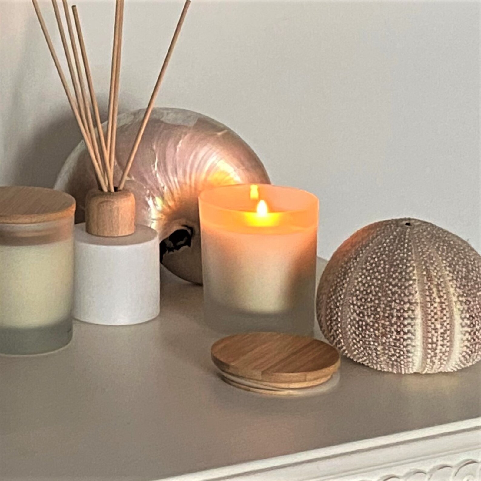 Riviera Luxury Diffuser Coastal Living Collection Made in Etsy