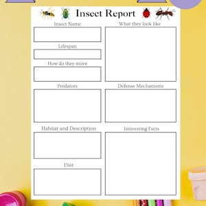 Puede incluir: Una hoja de trabajo de informe de insectos con texto negro e ilustraciones de insectos que incluyen una abeja, un escarabajo, una mariquita y una hormiga. El formulario presenta campos en blanco para nombre, esperanza de vida, movimiento y datos.